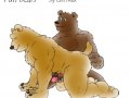 2_fun_bears.jpg